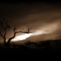 /album/fotogalerie/landscapes5-20070401-1294547631-jpg/