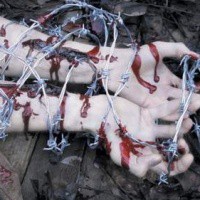 /album/fotogalerie/tn-blood10-jpg/